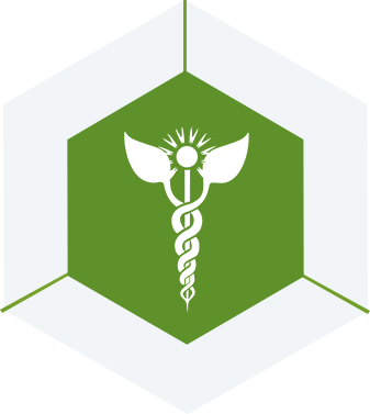 Synergy Hoslistic Life